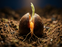 A close-up of a seed cracking open in dark soil, glowing with a warm amber light as a single green shoot grows upward.