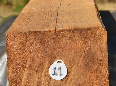 11-0 Cedar 86L x 6.75D x 6H.jpg