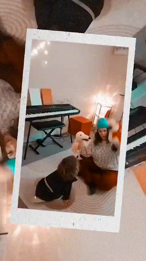 vidéo-courte.gif