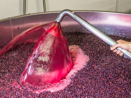 Les défis techniques et culturels de la traduction dans le secteur viticole