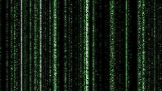 La vida afuera de la matriz