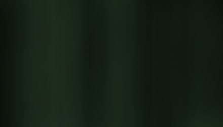 La vida afuera de la matriz