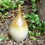 Thumbnail: Crystal green bud vase