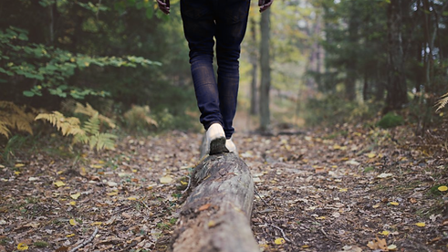 Finding Balance Therapy Brand Kit(9).png