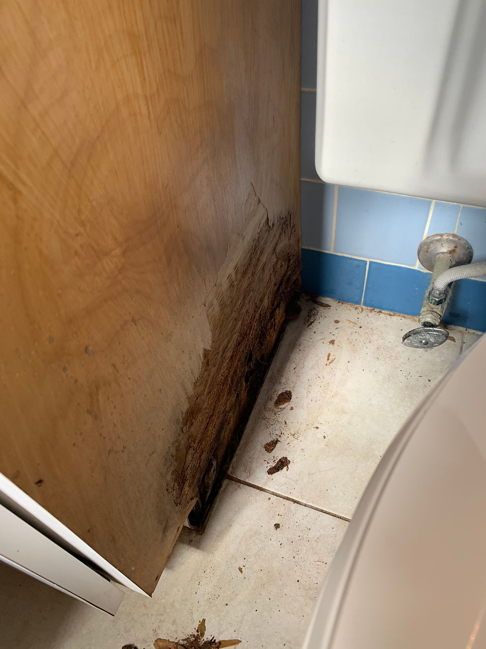 Cabinet Repair Before Image 2