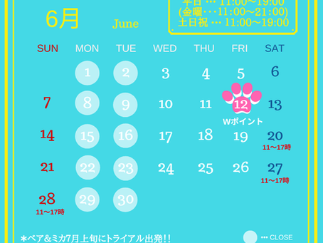 ご来店と予約について【2026.6.1】