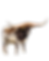 Untitled design (11).png