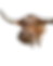 Untitled design (5).png