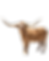 Untitled design (14).png