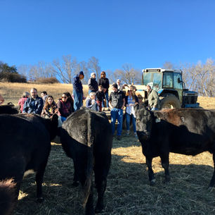 2 Days Left to Acquire remaining 1/4 (1/8ths & 1/16ths) Custom Beef for Late February Pickup