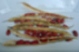 DSC03145.jpg