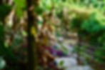 DSC08646 (1).jpeg