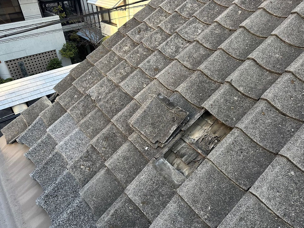 屋根の状況