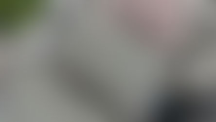 屋根塗装、外壁塗装、玄関塗装、シャッター入れ替え、項目の多い外構工事は一括まとめて工事をお勧めします！