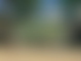 Aiの建設界野球大会2日目