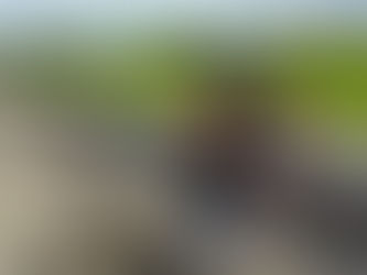 Aiの写真展
