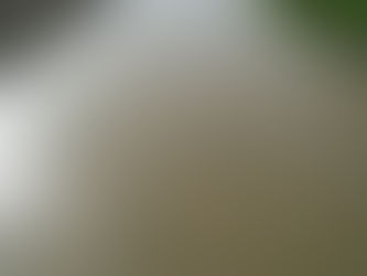 空中散歩 水鳥が撮れた