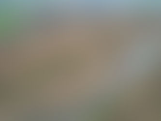 伐竹