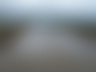 雨の後