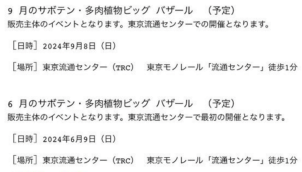 ฺBig Bazaar; Tokyo