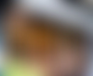 カメラはじめました。