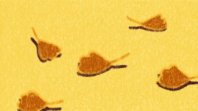 CLIP.gif