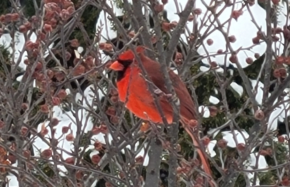 20240121_141002_edited