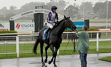 Race 4 - 2 April.jpg