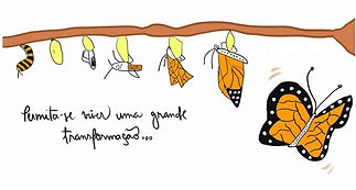 Metamorfose Borboleta.jpg