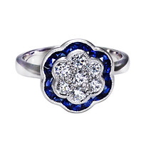 JLR1198SAPPDIA 2.jpg