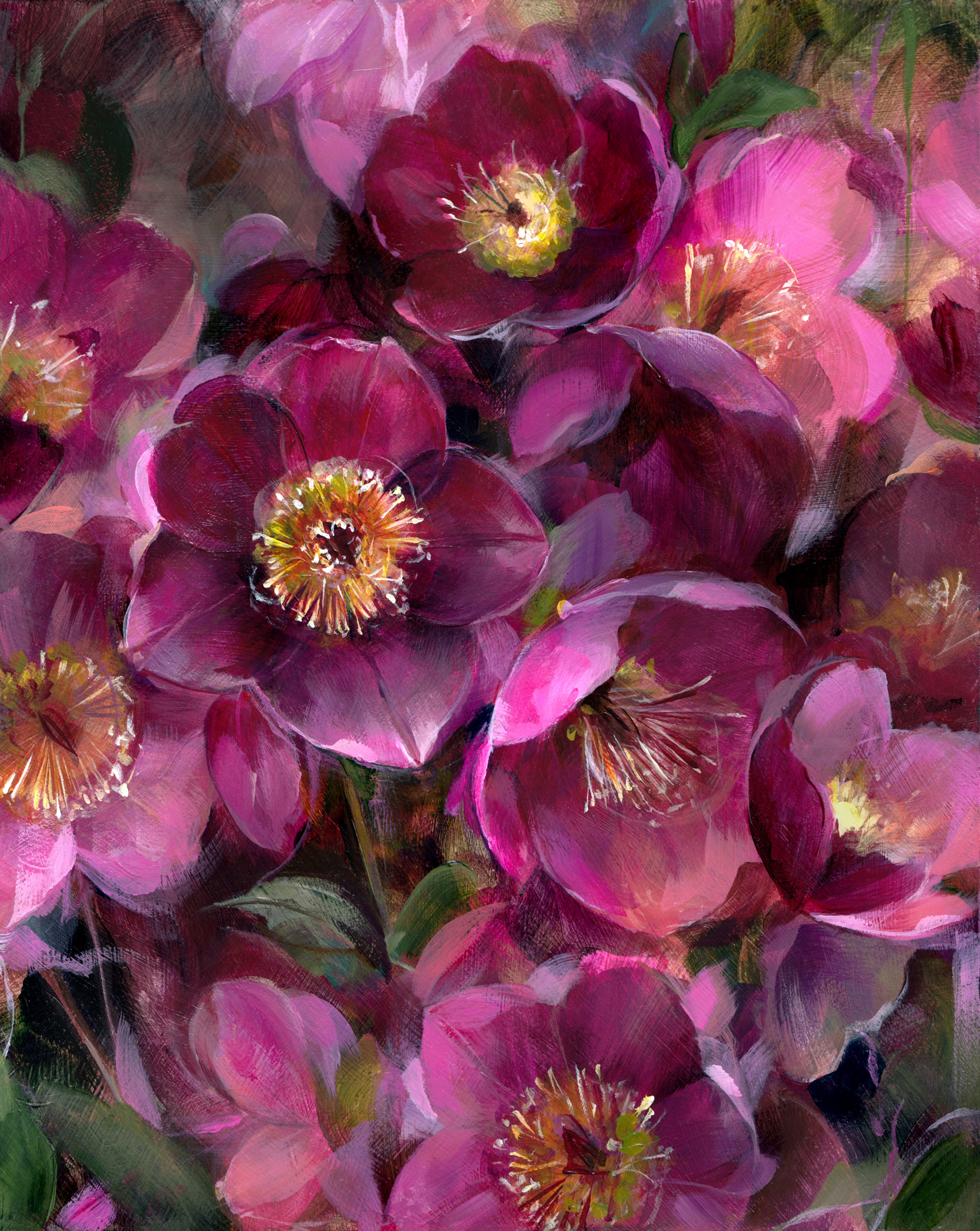 PRINT Hellebores