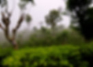 5L1A8188_edited_edited.jpg