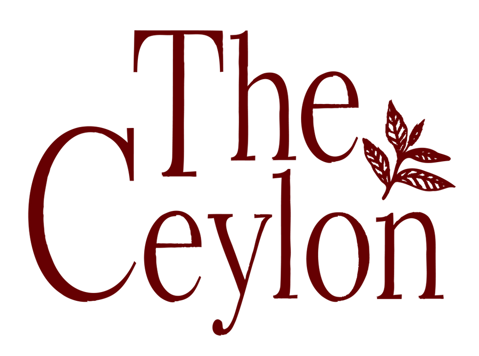 Logo_red (1).png