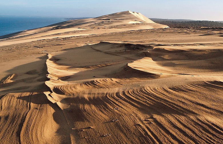 Dune2.jpg