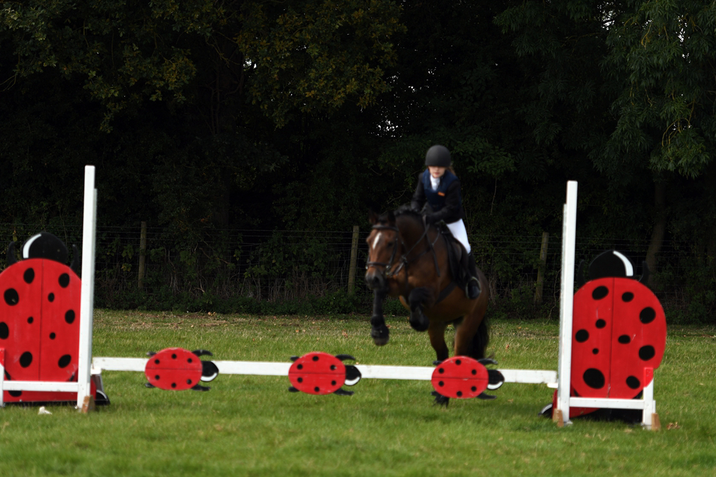 34th Annual Show 63