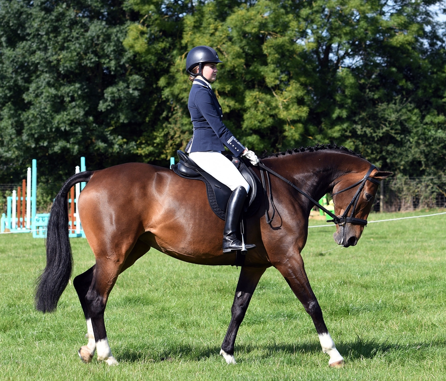 34th Annual Show 159