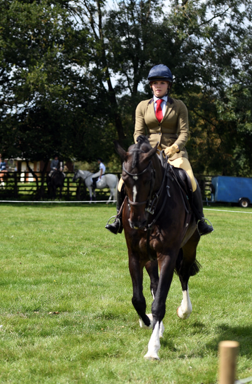 34th Annual Show 99