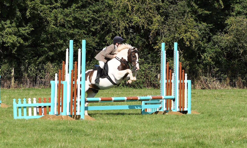 34th Annual Show 166