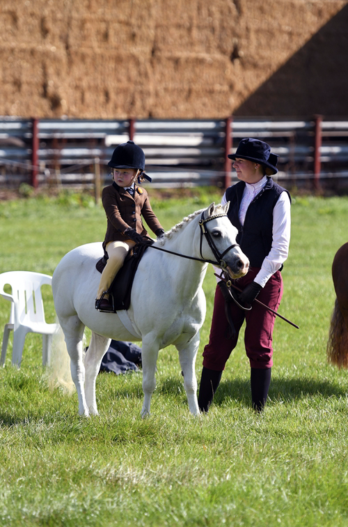 34th Annual Show 149