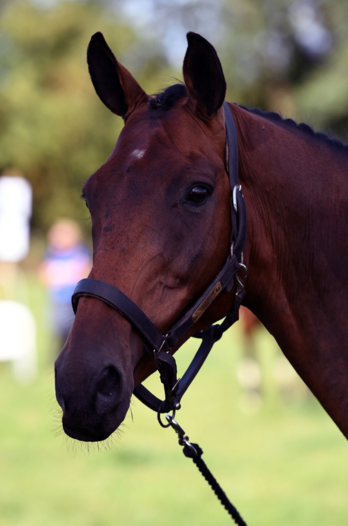 34th Annual Show 153