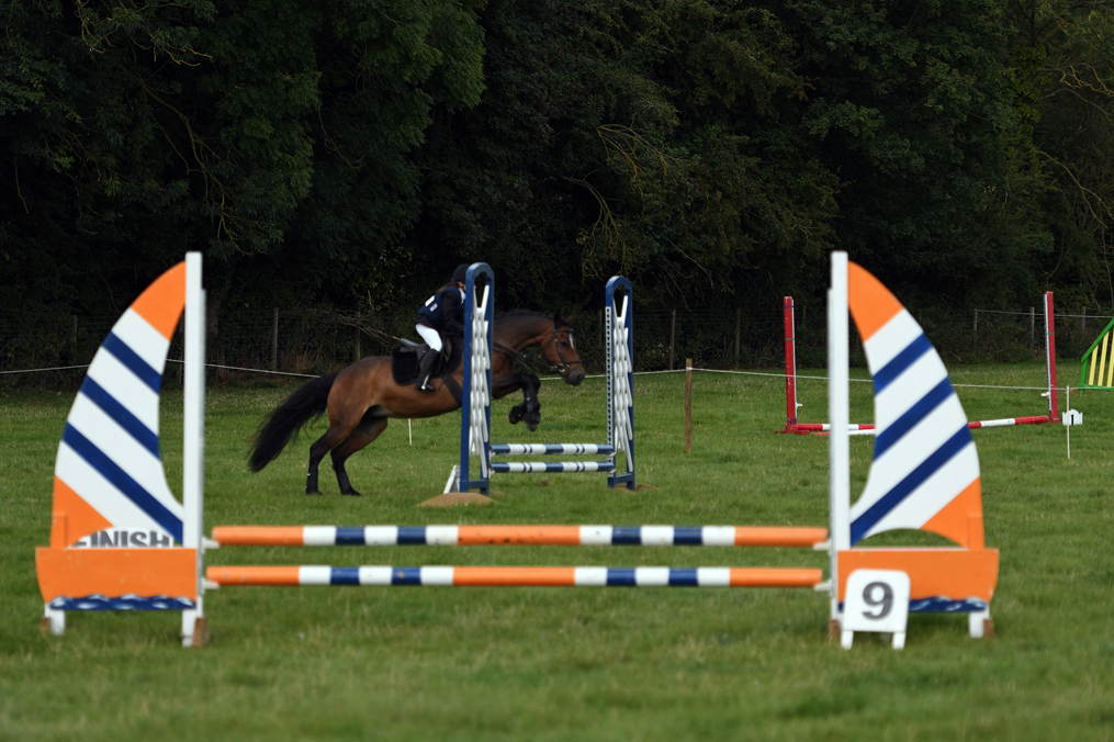 34th Annual Show 61
