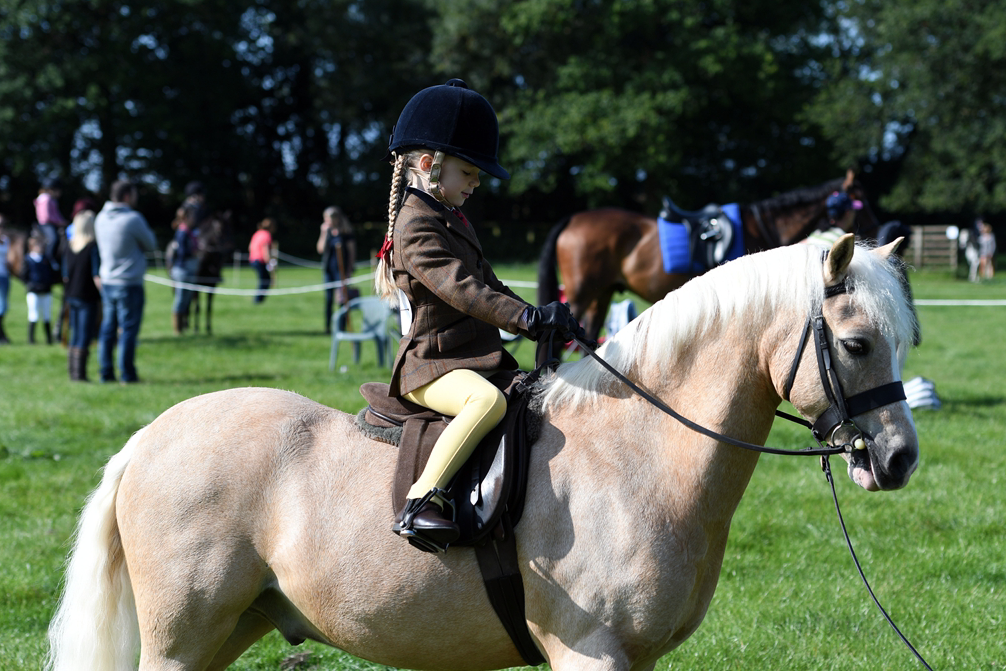 34th Annual Show 137