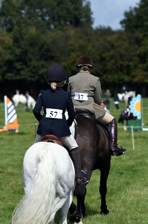 34th Annual Show 35