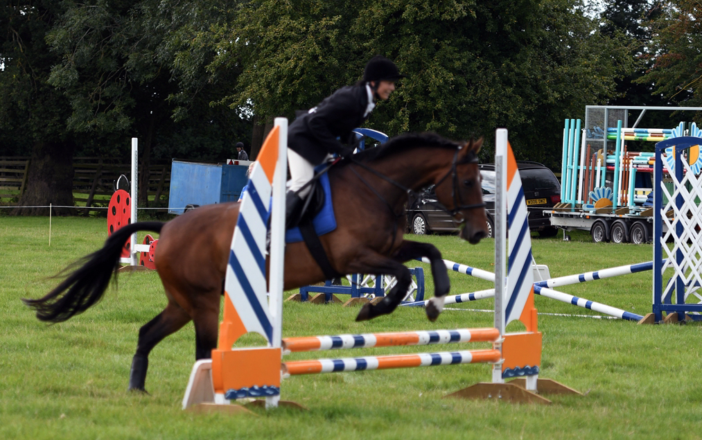 34th Annual Show 11