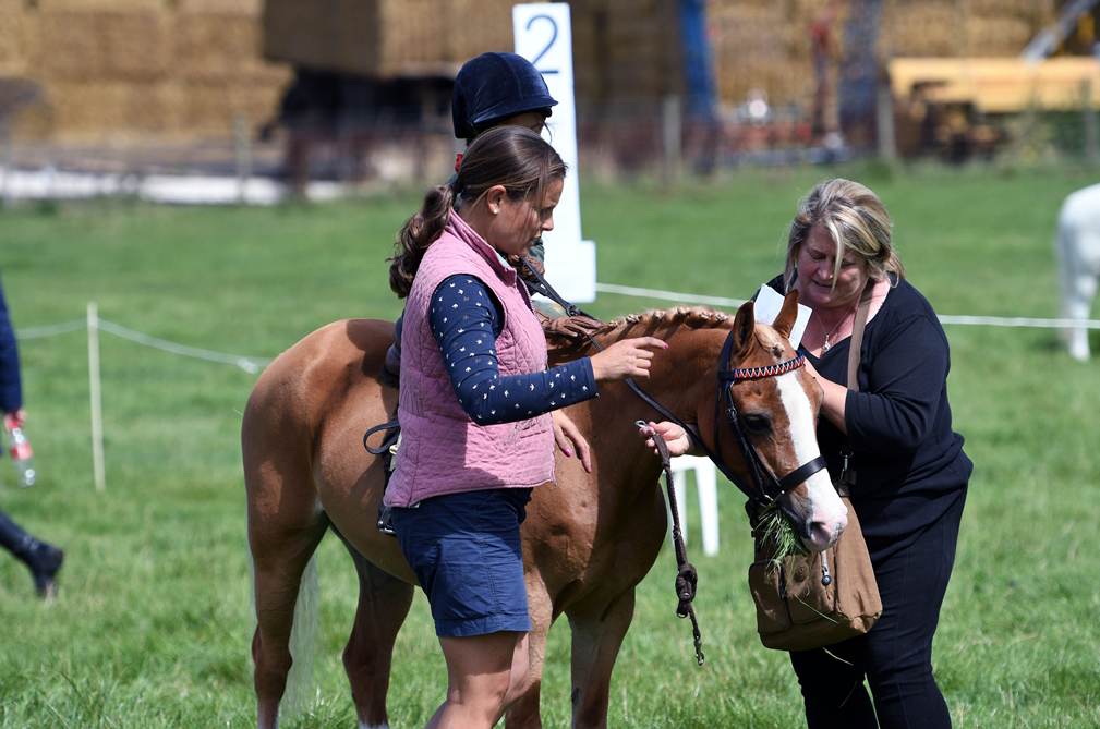 34th Annual Show 88