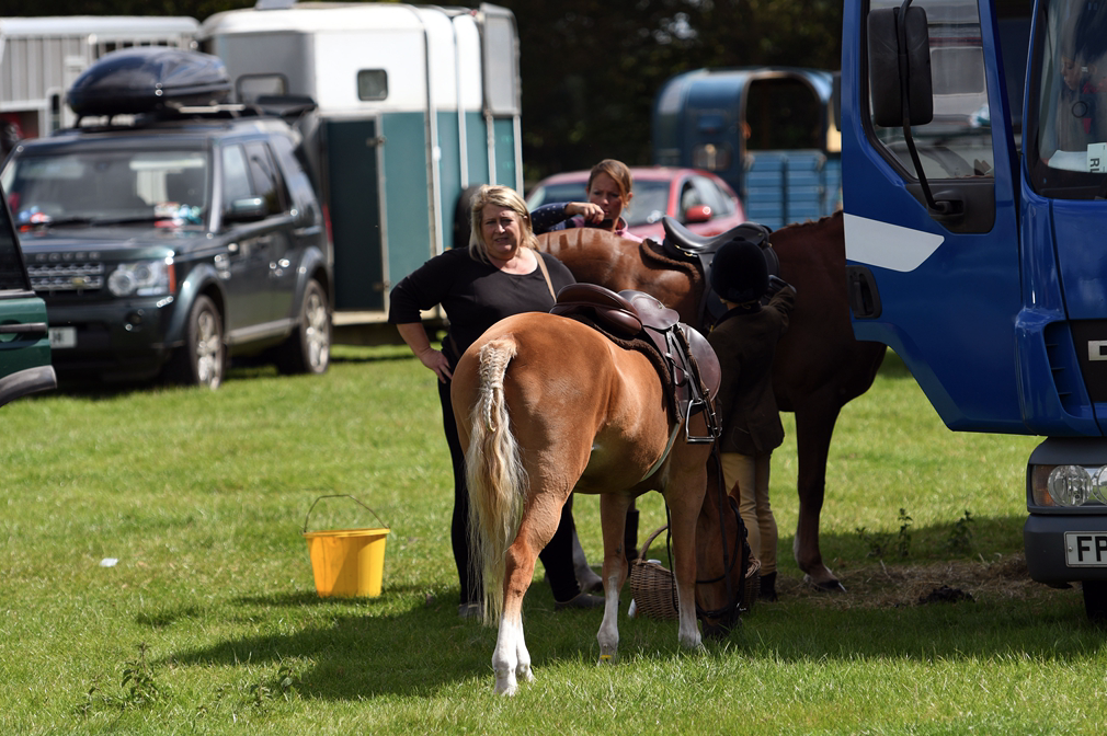 34th Annual Show 105