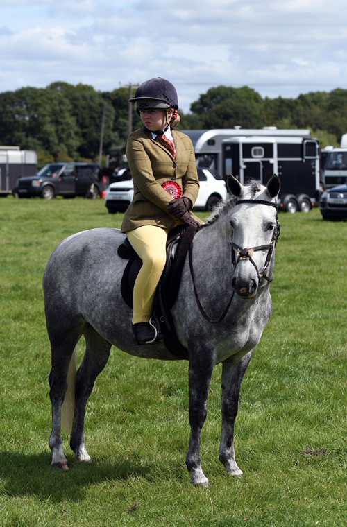 34th Annual Show 101