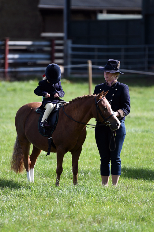 34th Annual Show 150
