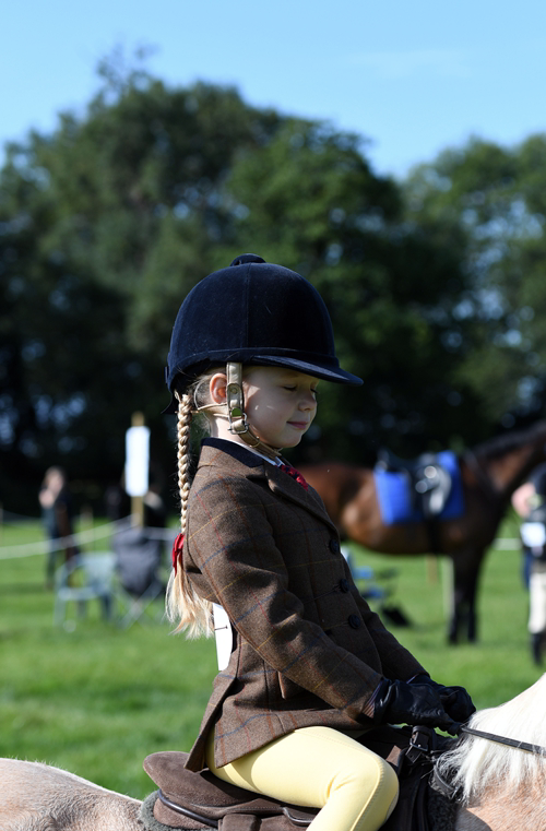 34th Annual Show 136