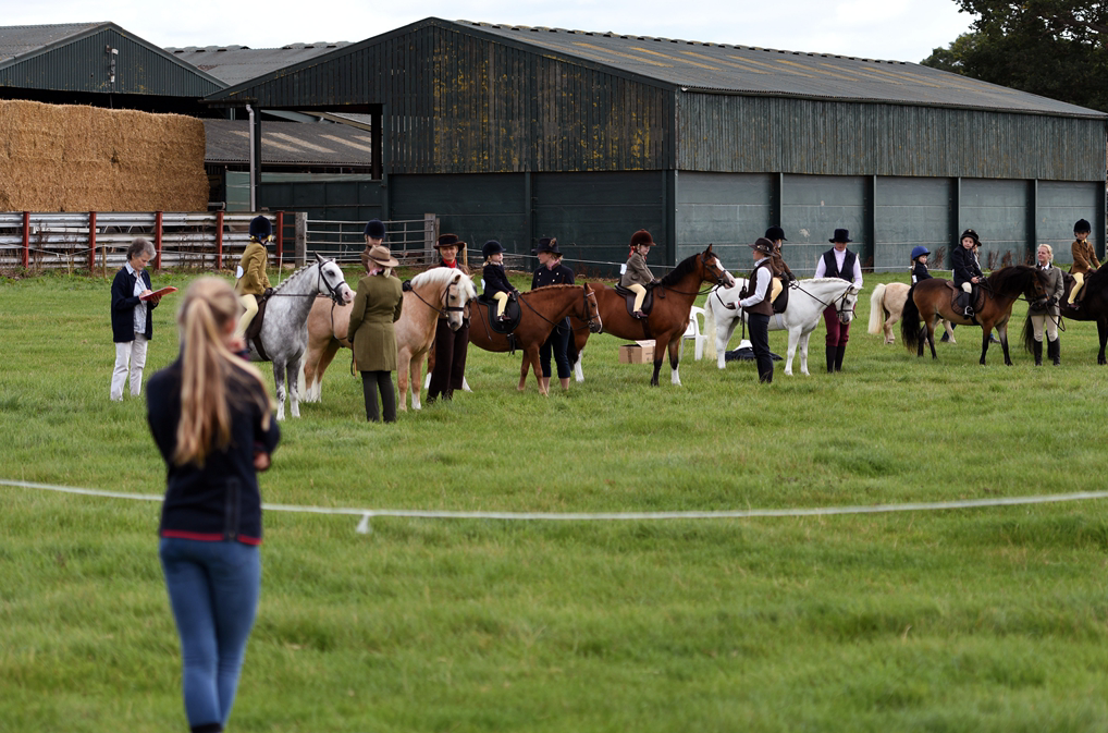 34th Annual Show 9